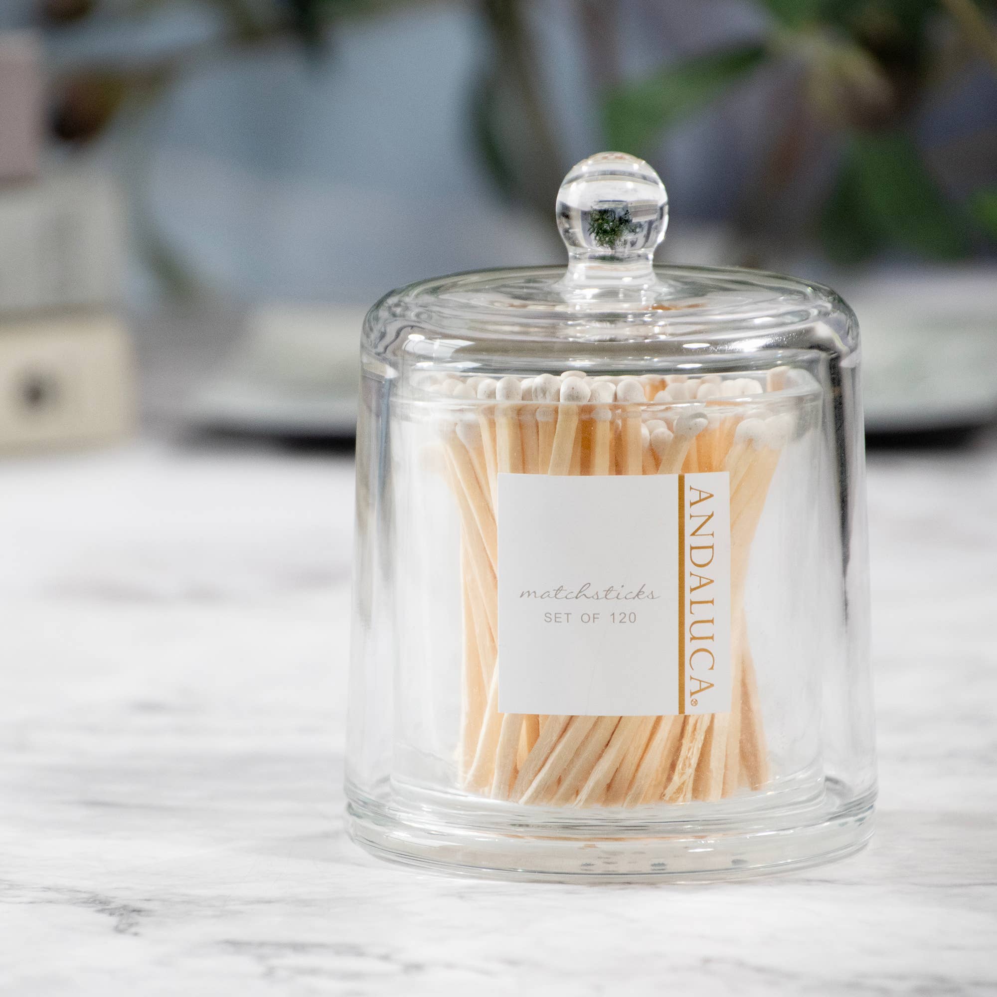 Glass Cloche & 120 Wooden White Matches