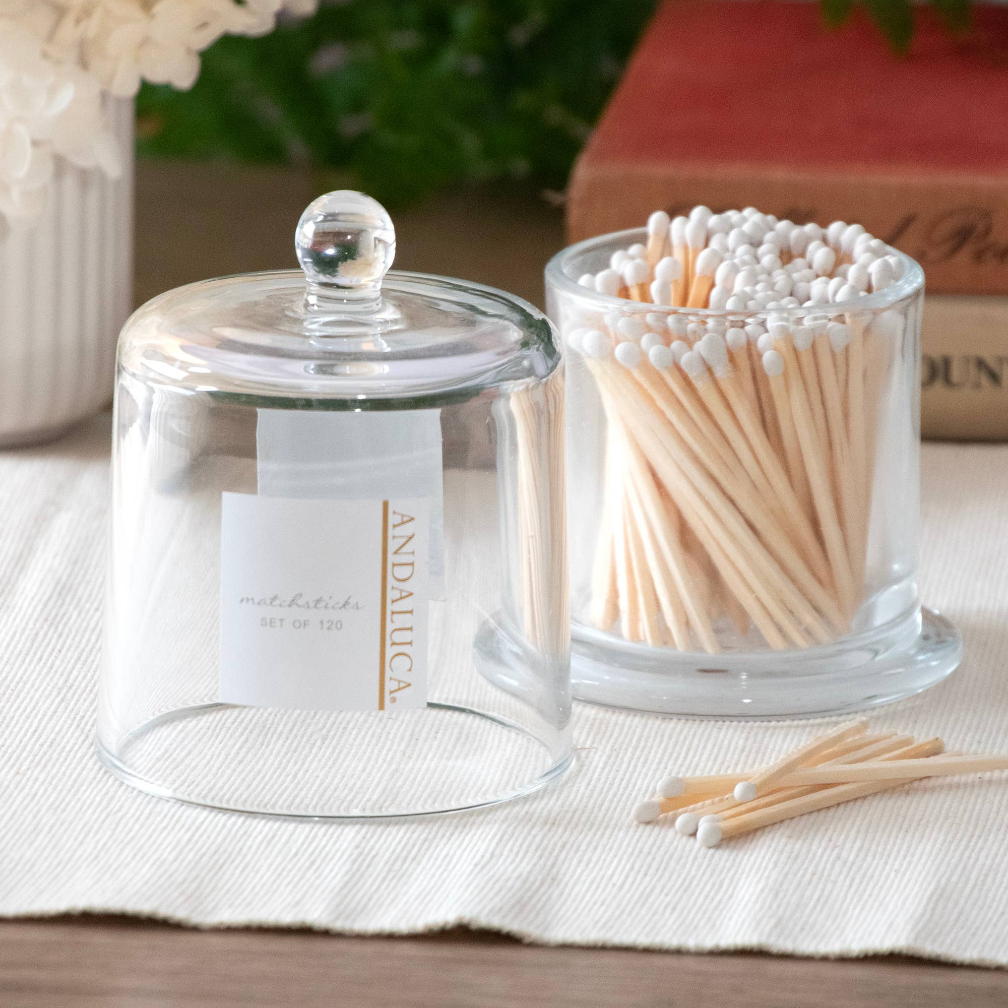 Glass Cloche & 120 Wooden White Matches