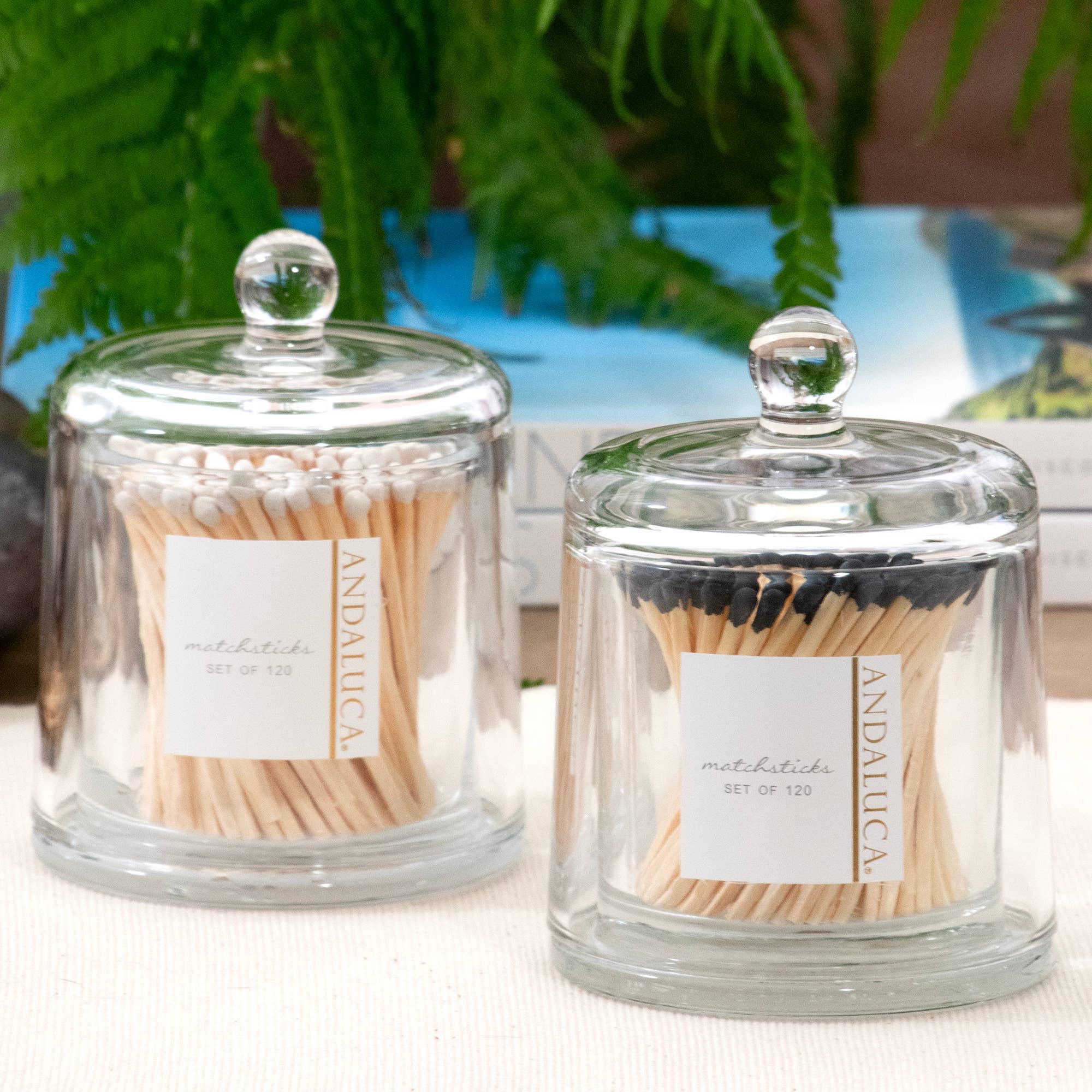 Glass Cloche & 120 Wooden White Matches