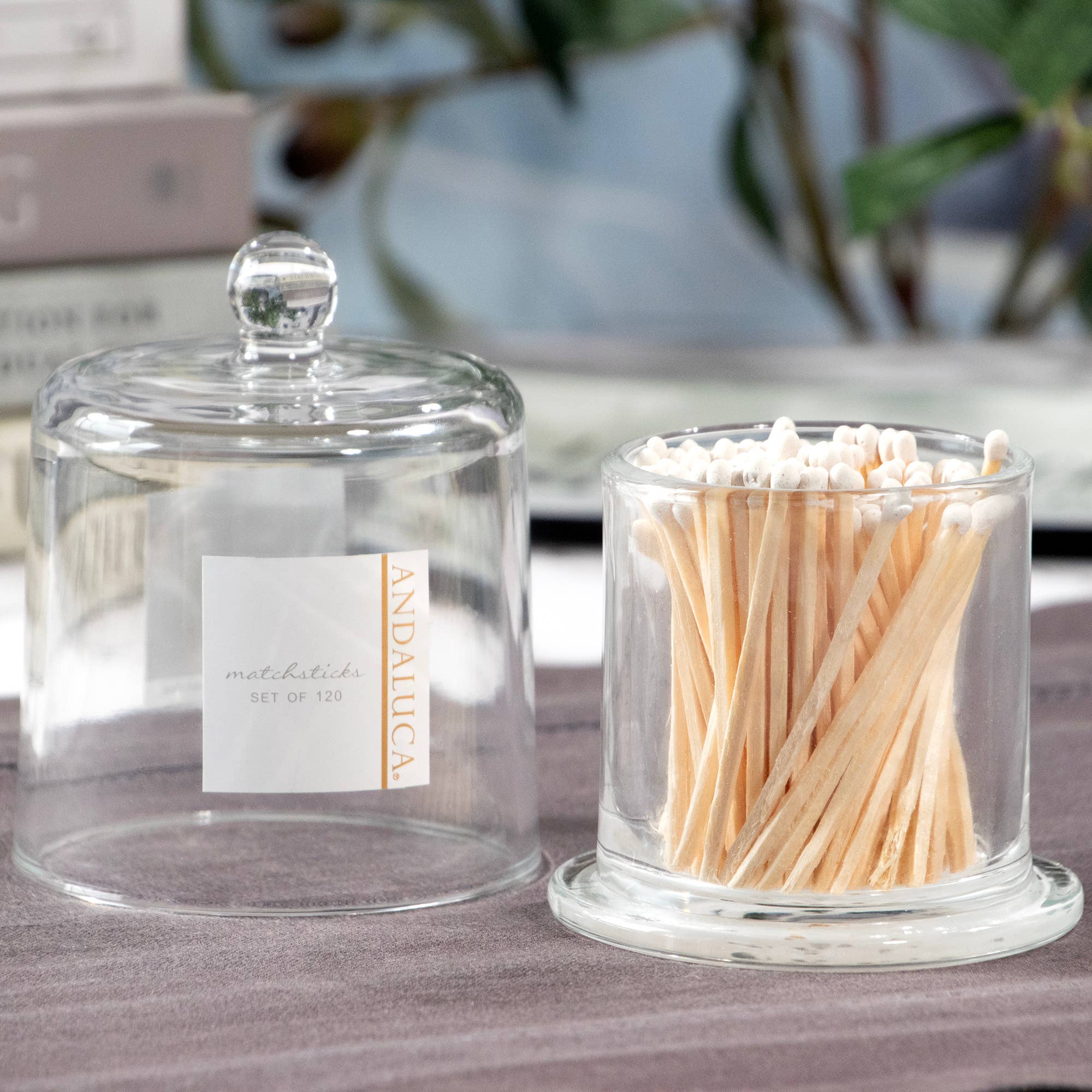 Glass Cloche & 120 Wooden White Matches