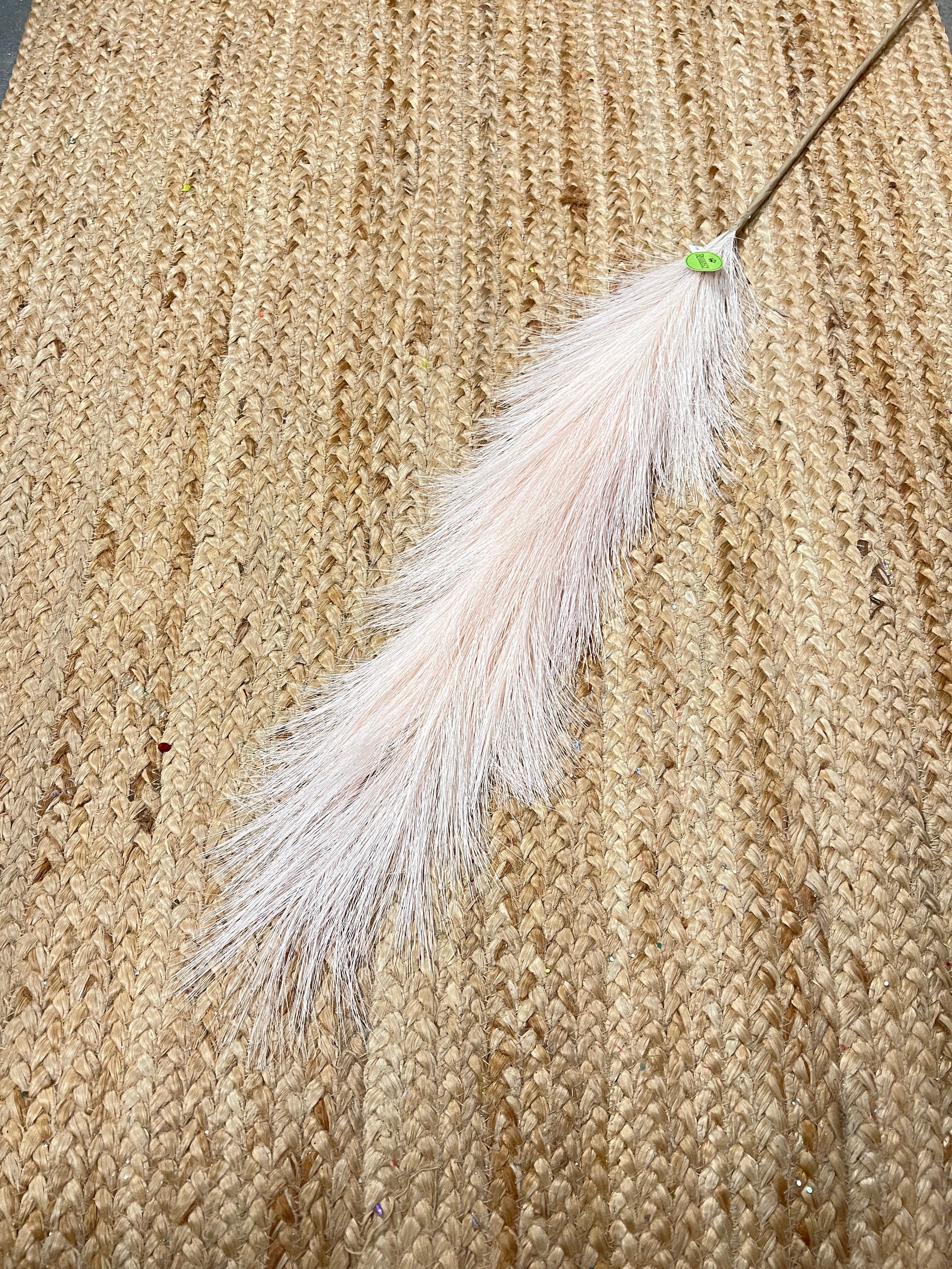 Blush Pink Pampas Plume ~ 60 in