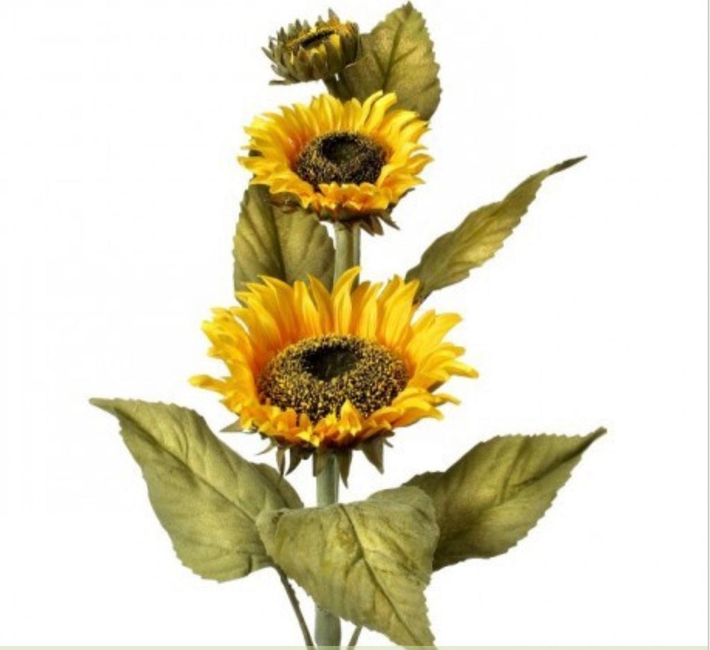 Deluxe Sunflowers ~ 22 inch