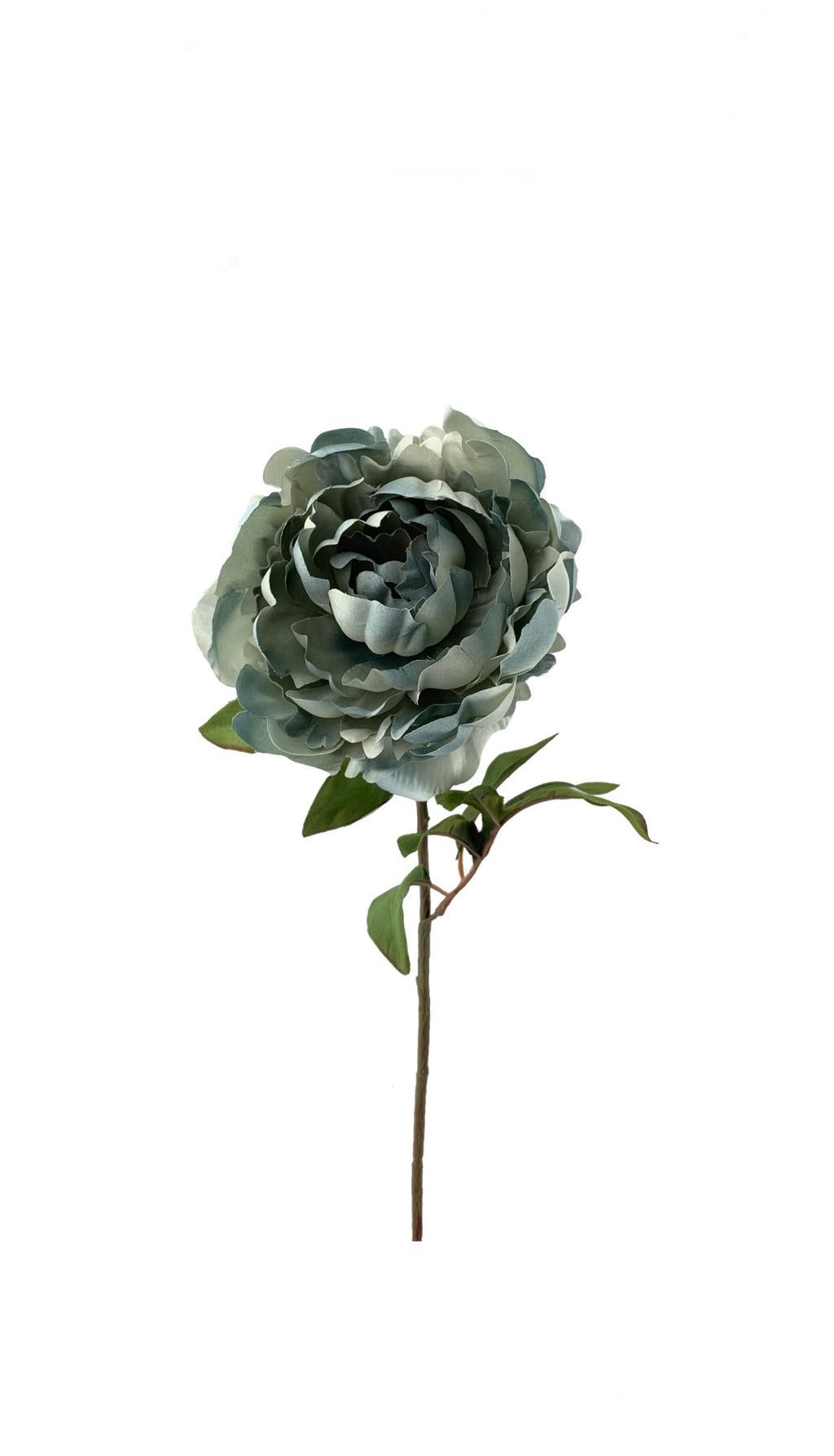 Gray Blue Peony Stem - 30 in