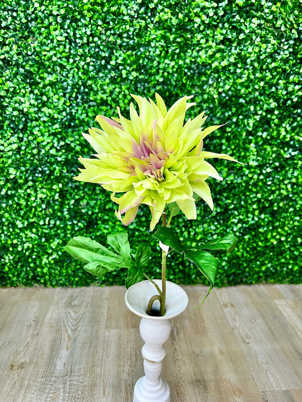 Pale Green Dahlia Stem~ 28 Inch