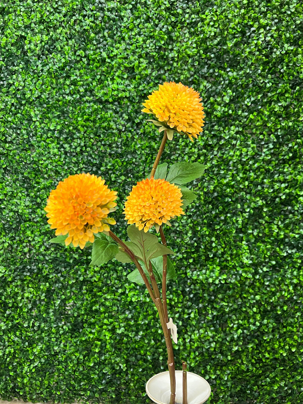 Yellow Orange Dahlia Stem ~ 3 flowers