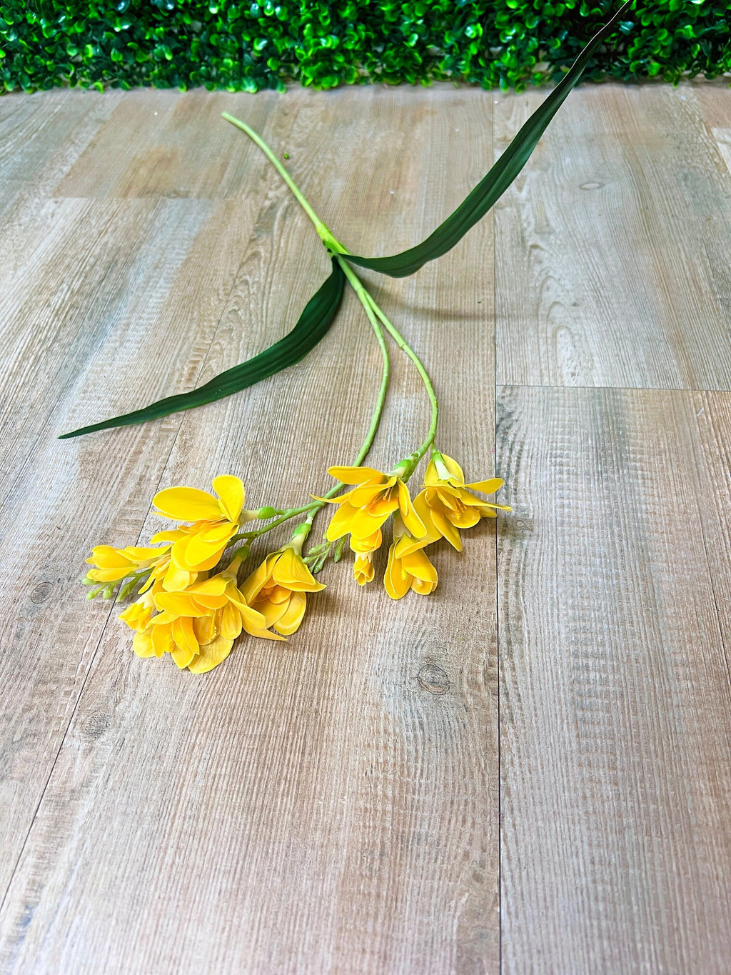 Yellow Freesia Spray ~ 25.5 Inch