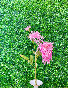 Bright Pink - Spider Mum Chrysanthemum Spray