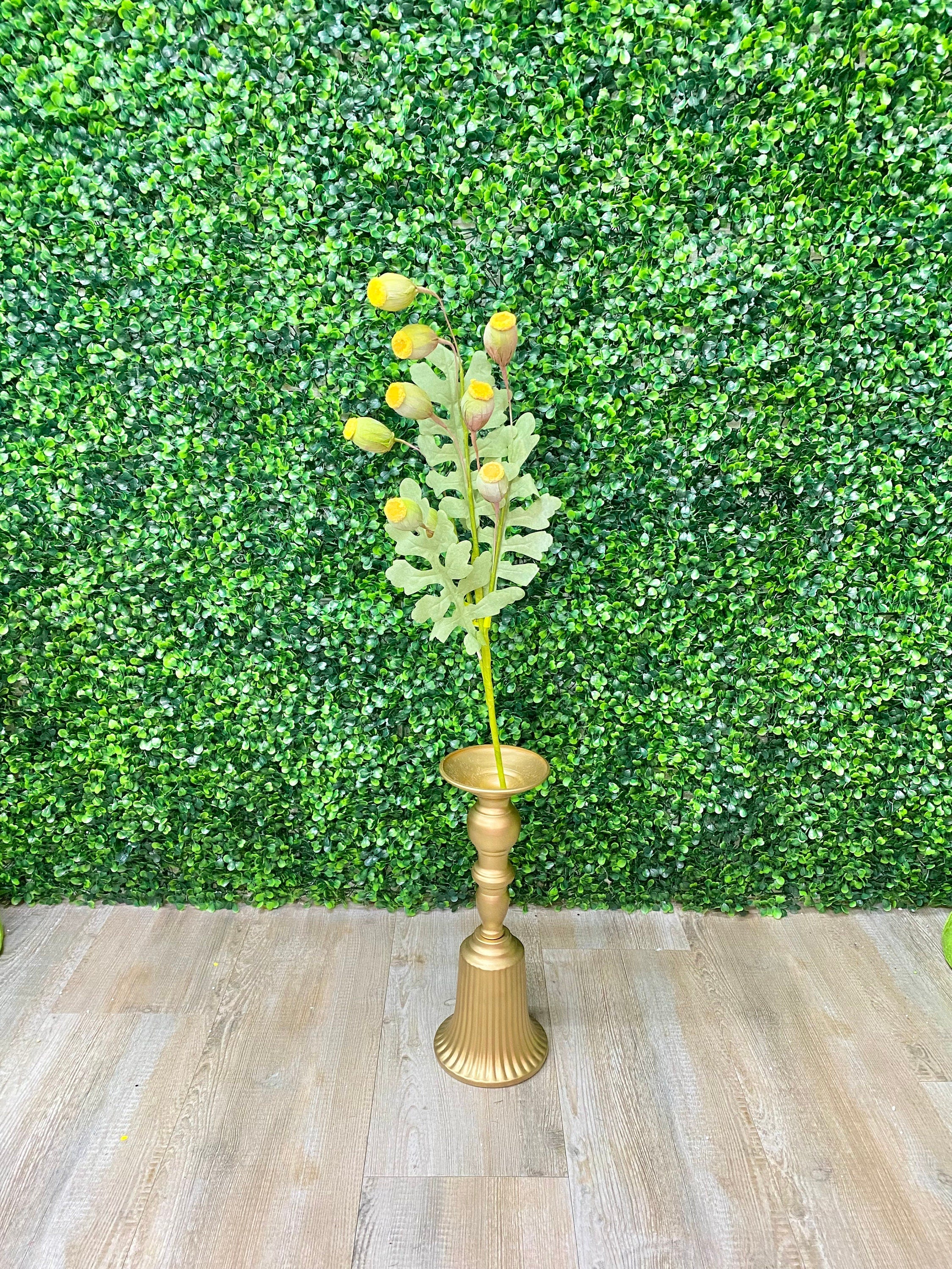 Yellow Poppy Pod Bush