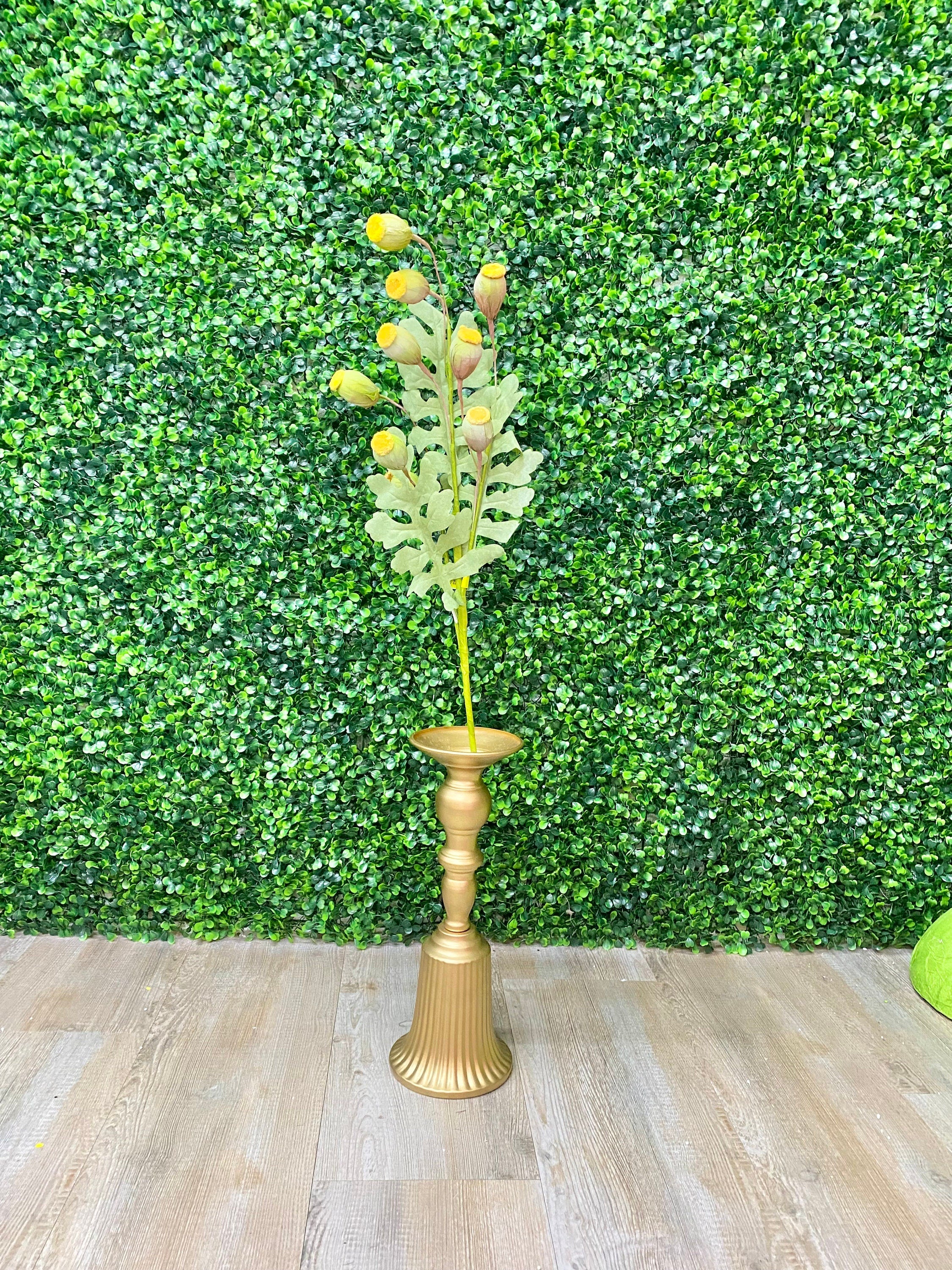 Yellow Poppy Pod Bush