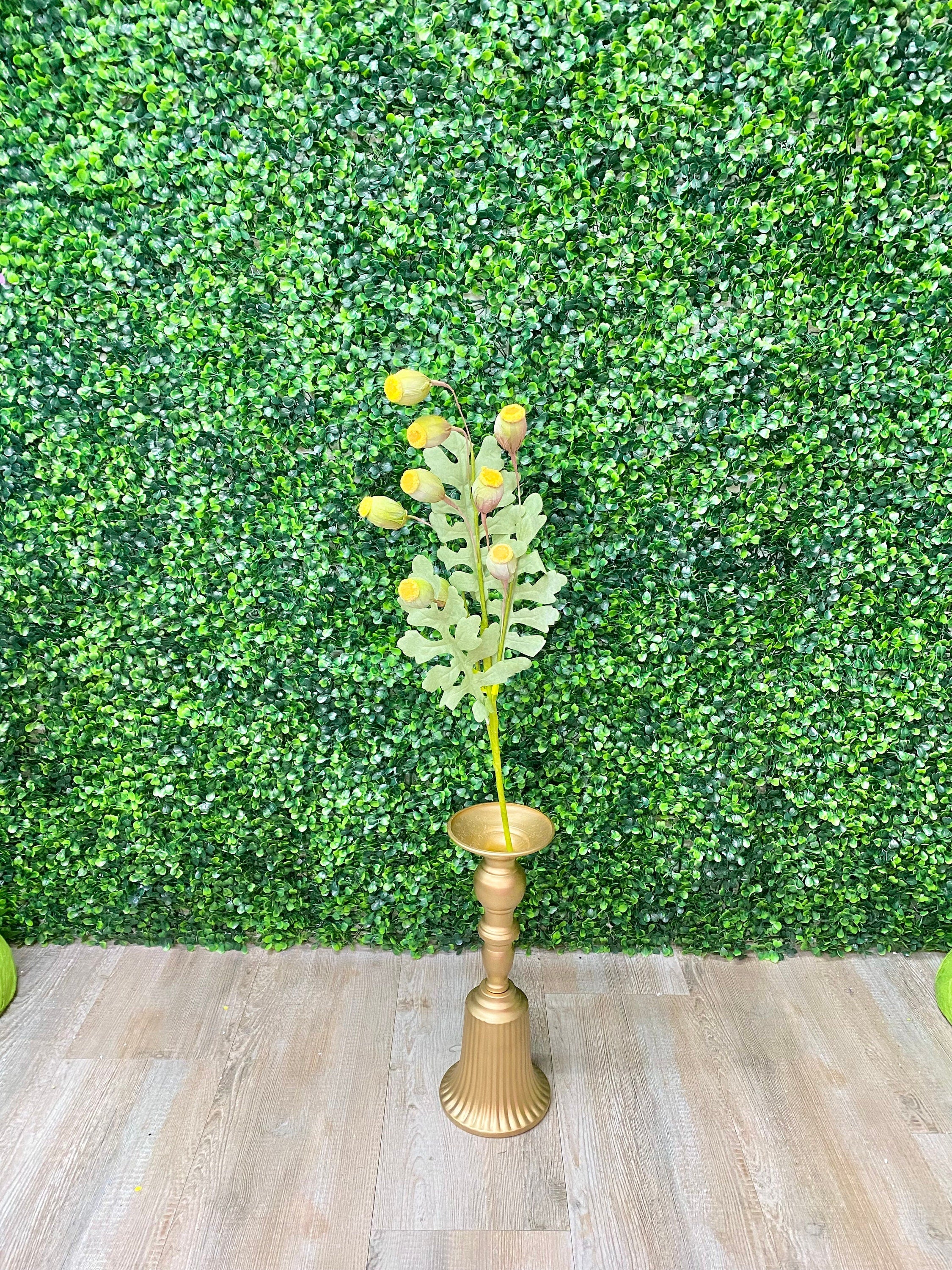 Yellow Poppy Pod Bush