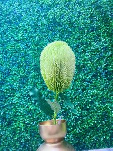 Green & White Banksia Stem ~ 36 Inch