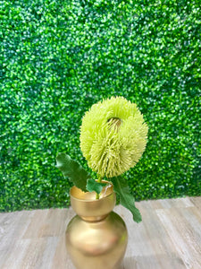 Green & White Banksia Stem ~ 36 Inch