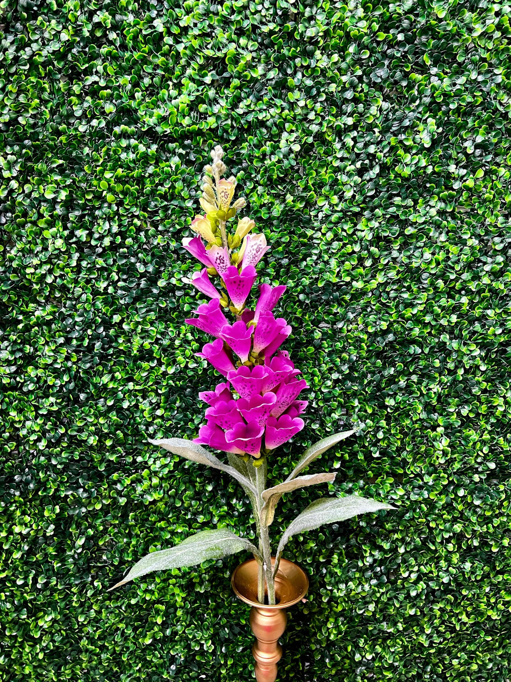 Fuchsia Foxglove Spray- 36 inch