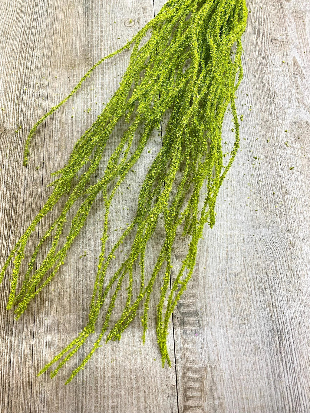 Moss Twig Bush - 22 inches