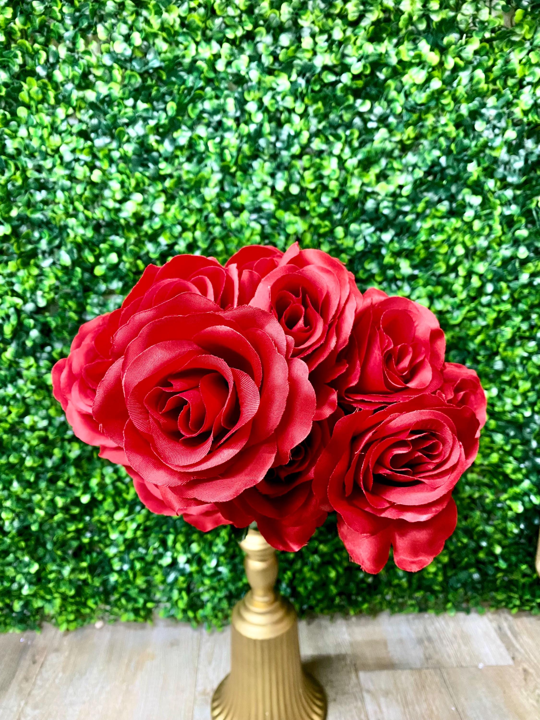 Red Colorfast Lillian Open Rose Bush - 17 inches