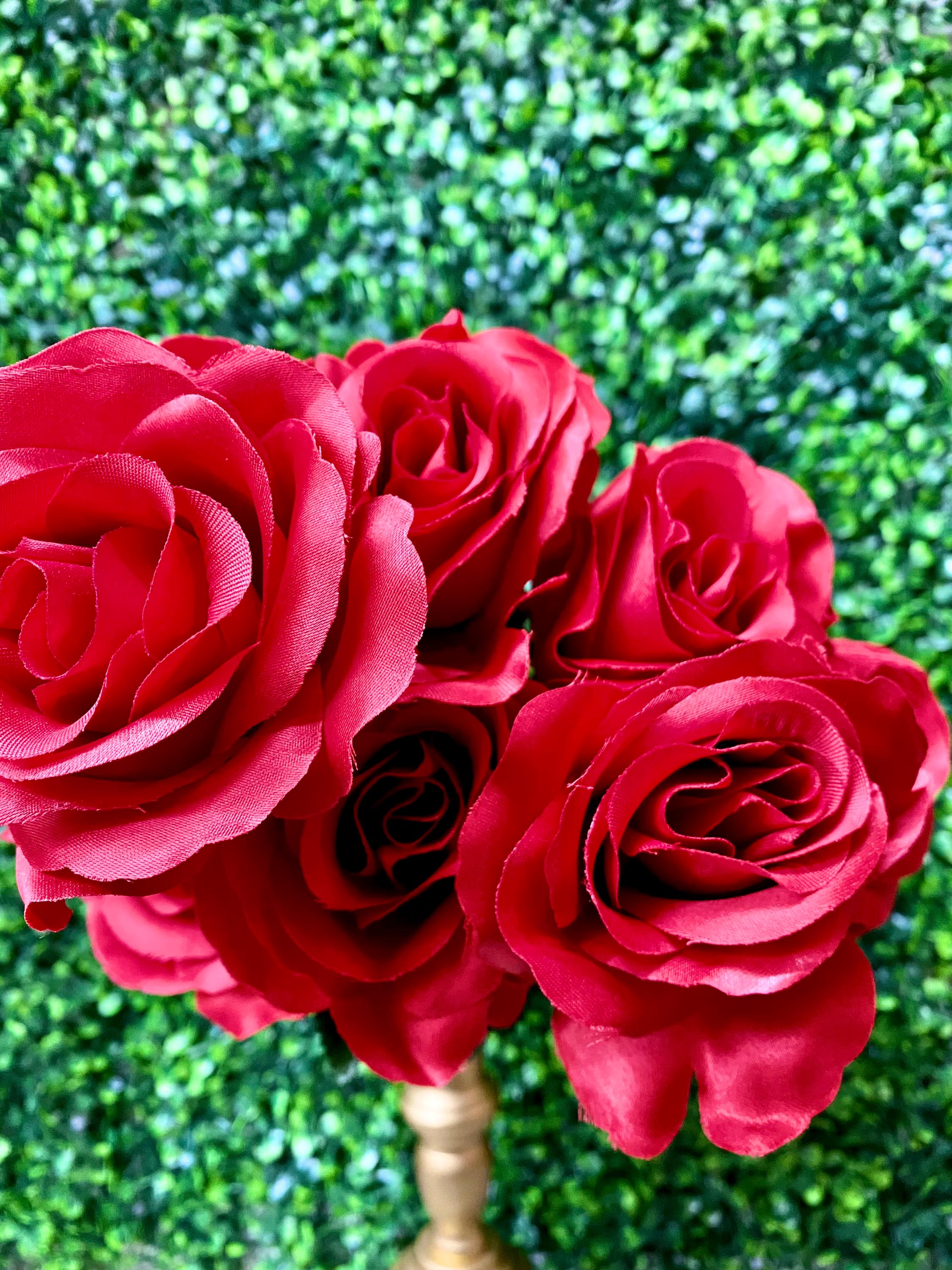 Red Colorfast Lillian Open Rose Bush - 17 inches