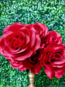 Red Colorfast Lillian Open Rose Bush - 17 inches