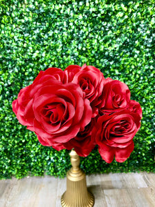 Red Colorfast Lillian Open Rose Bush - 17 inches