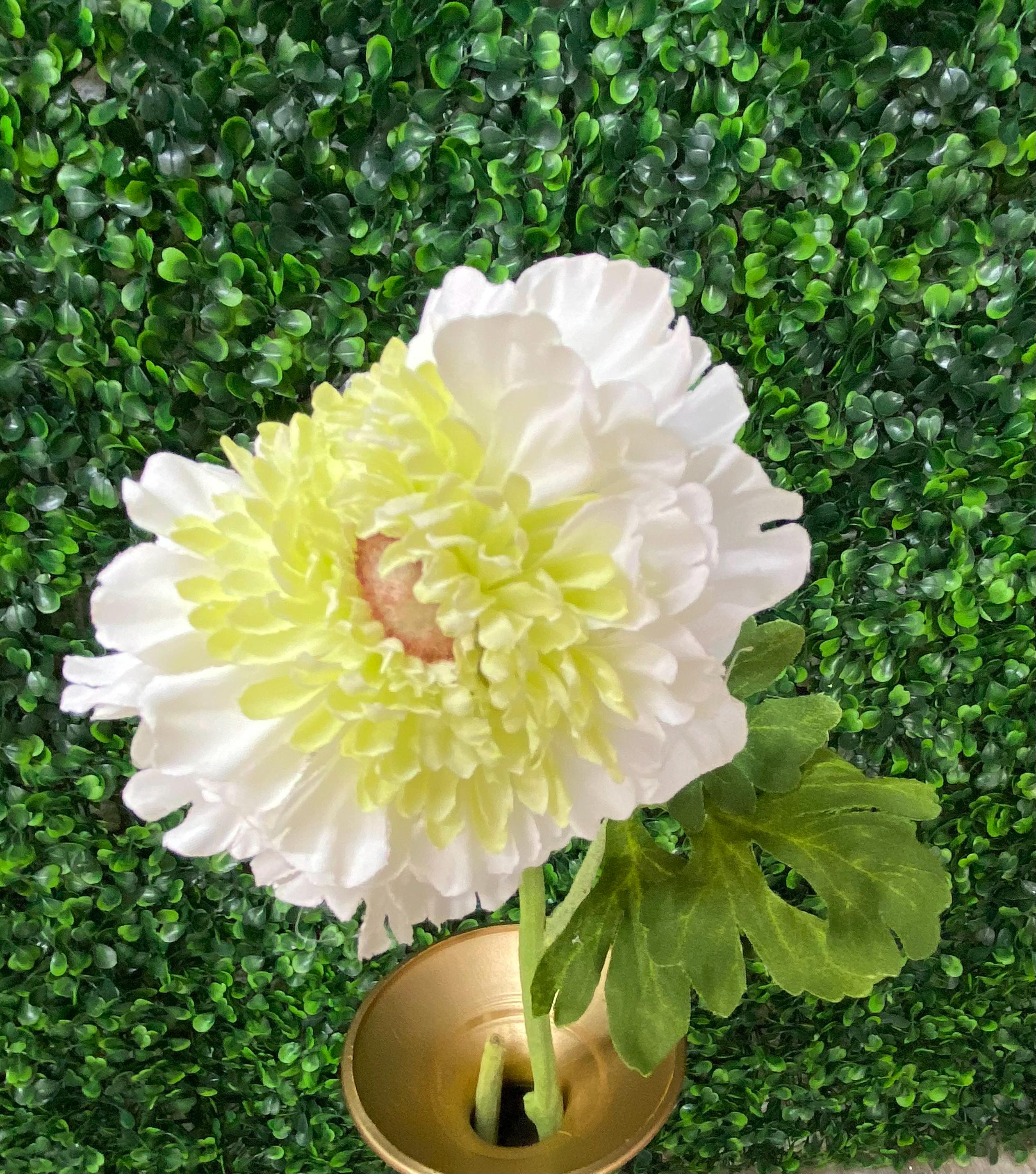 White Ranunculus Spray - 17.5 inches