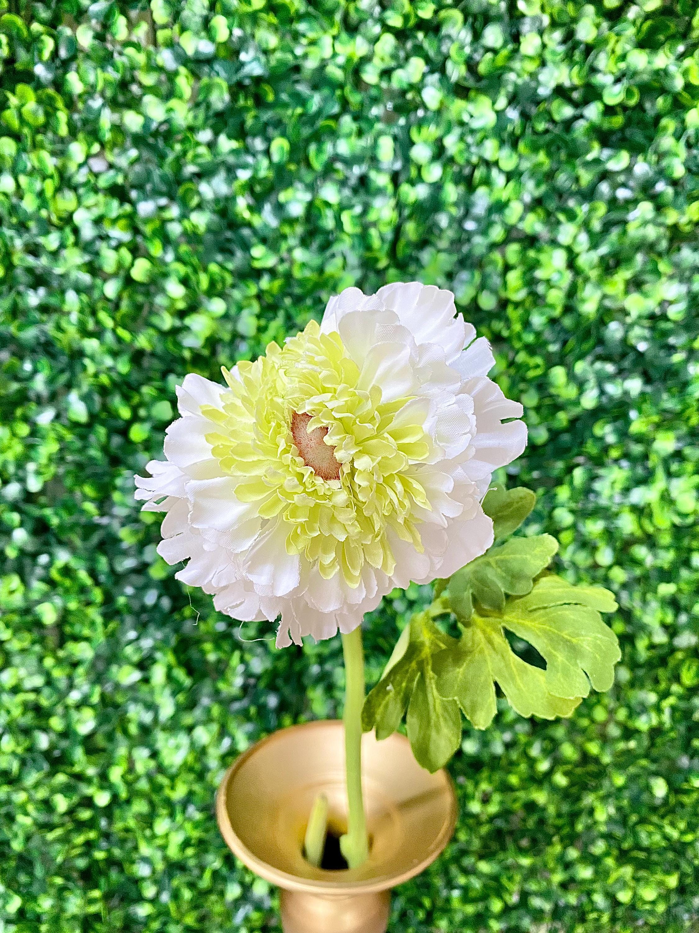 White Ranunculus Spray - 17.5 inches