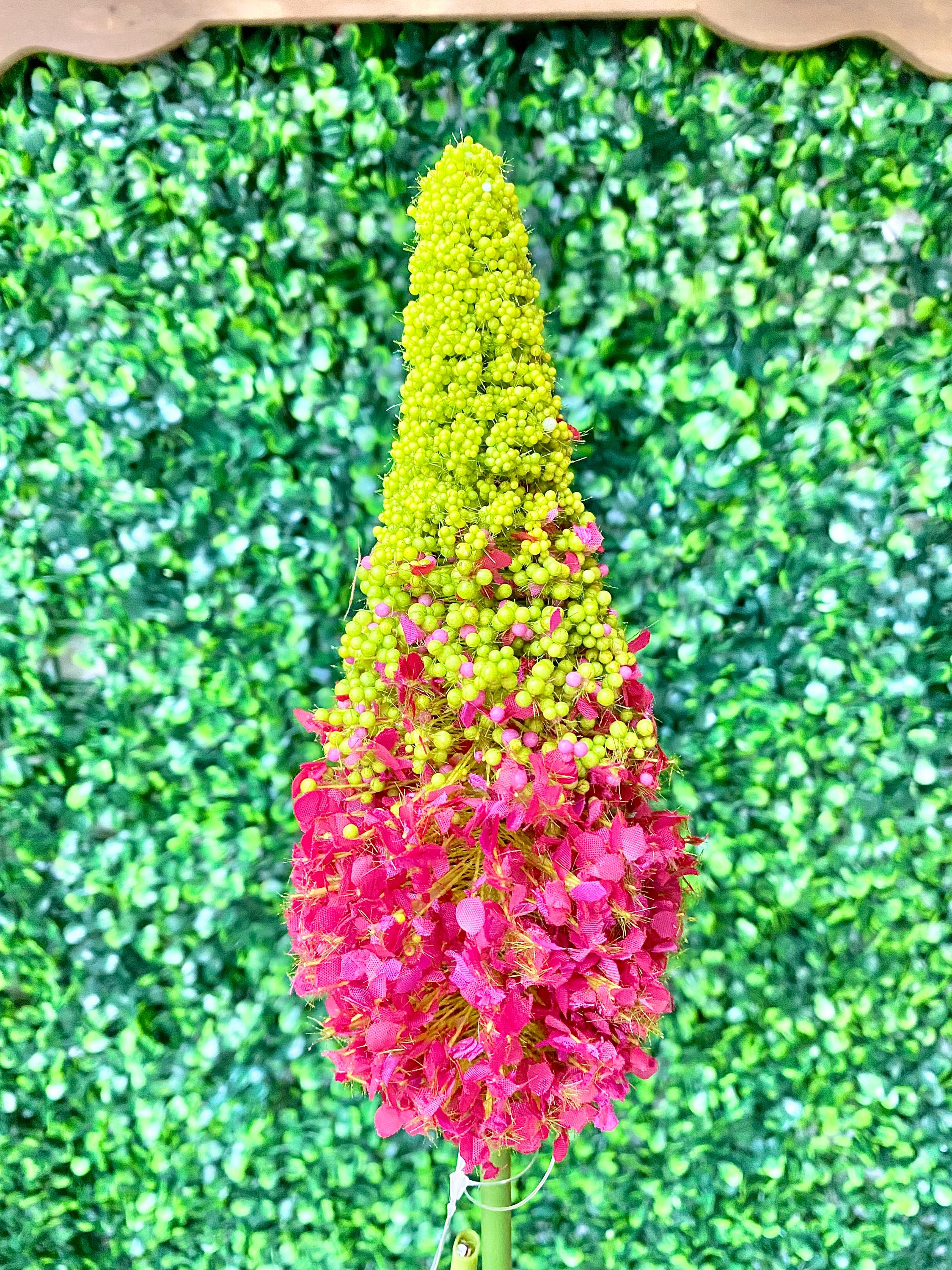 Fuchsia Eremurus ~ 33”