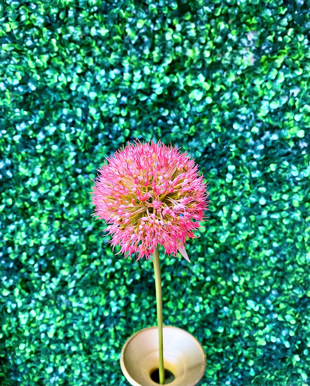Rose Pink Allium Ball Spray - 19"..