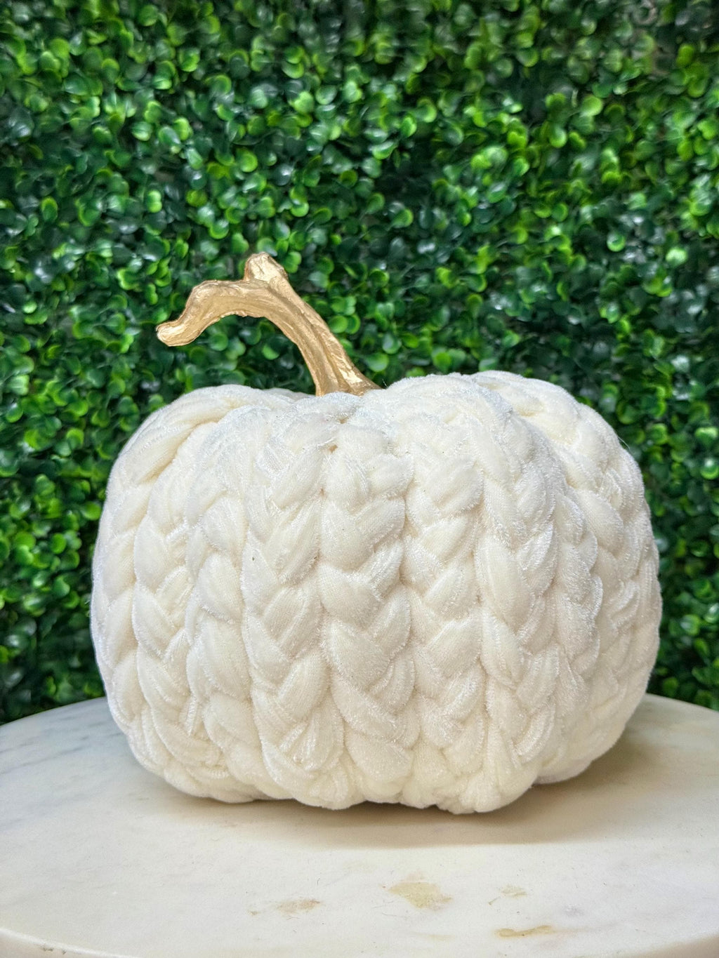 White Braided Velvet Pumpkin with Gold Stem 8x9 inch