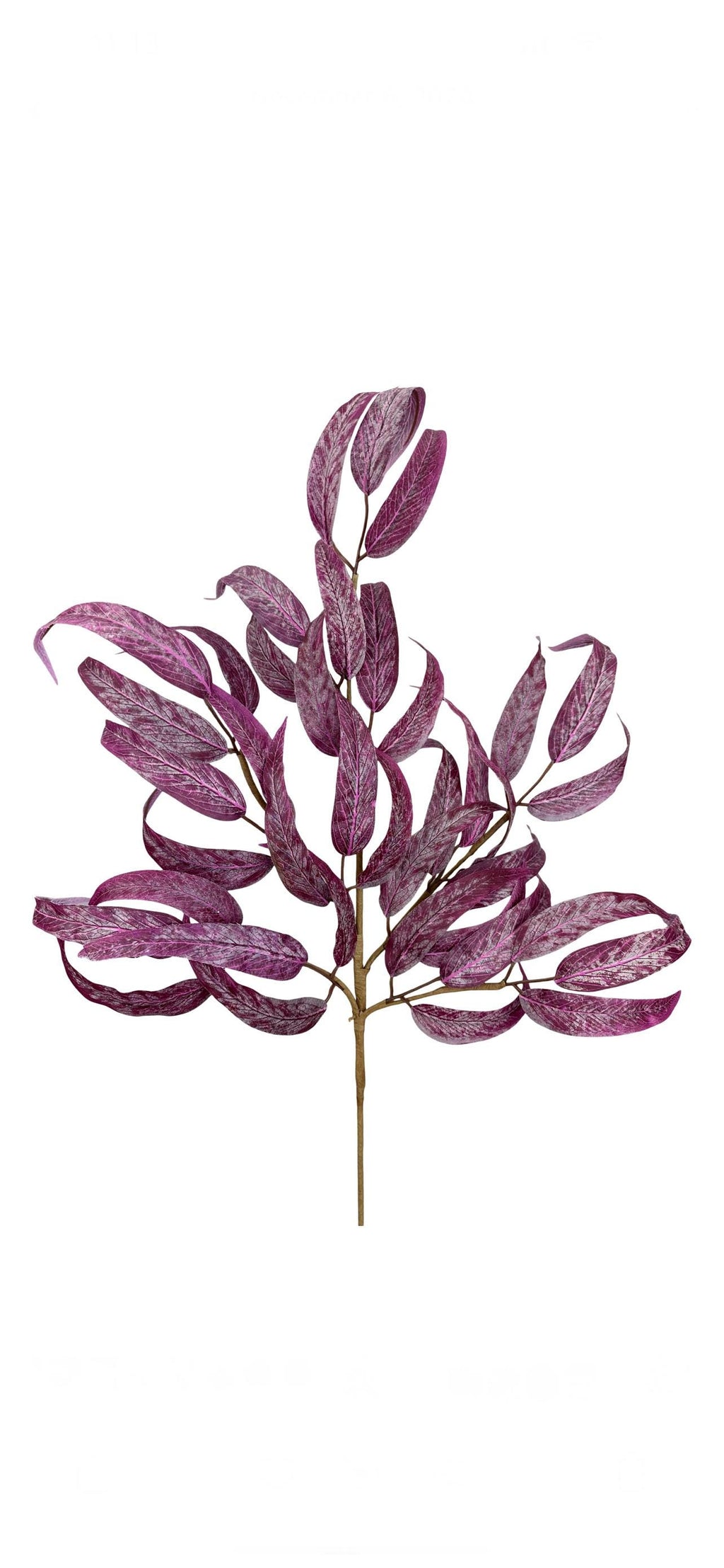 Purple Willow Leaves Bush - 28inch