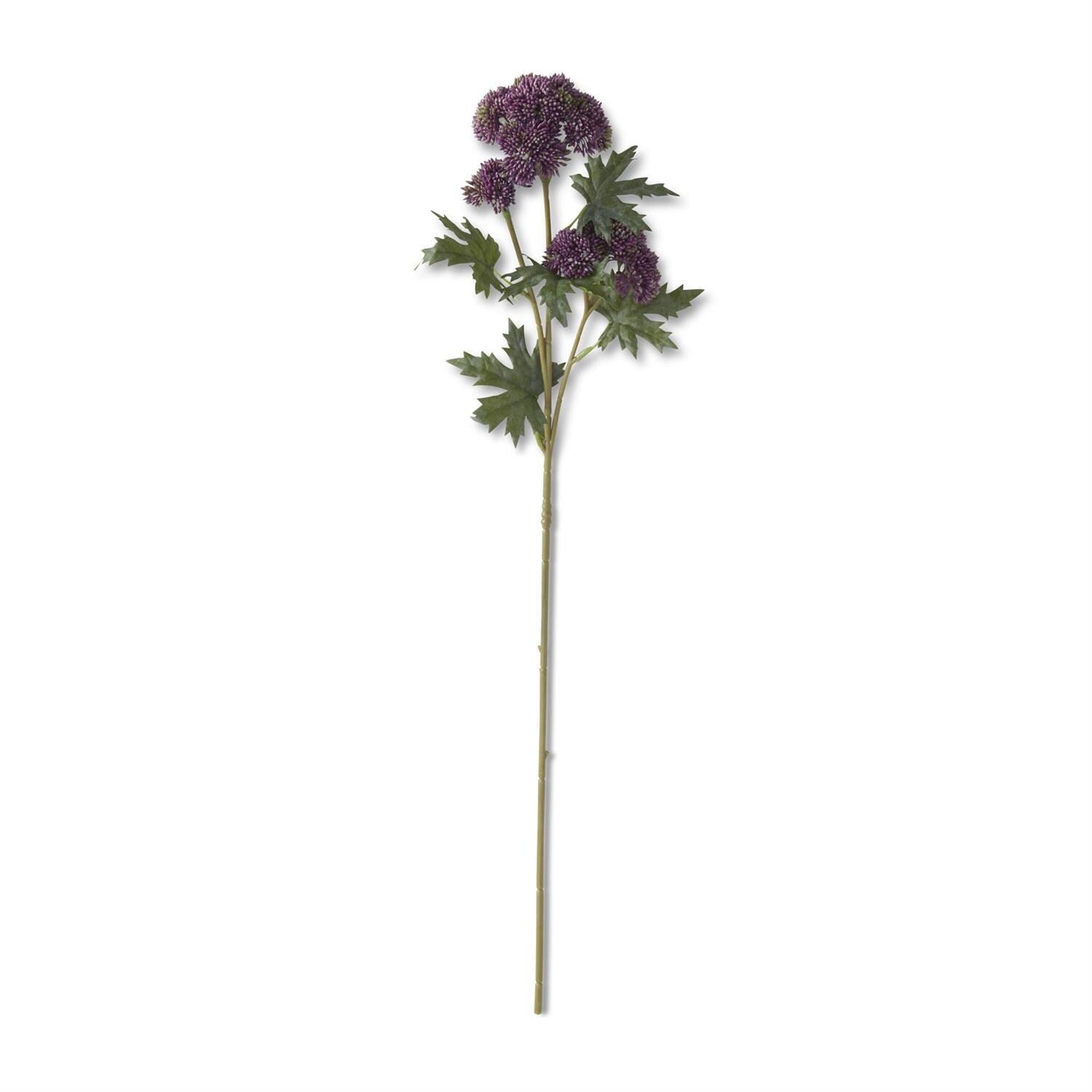 Dark Purple Sedum Stem ~ 28 Inch