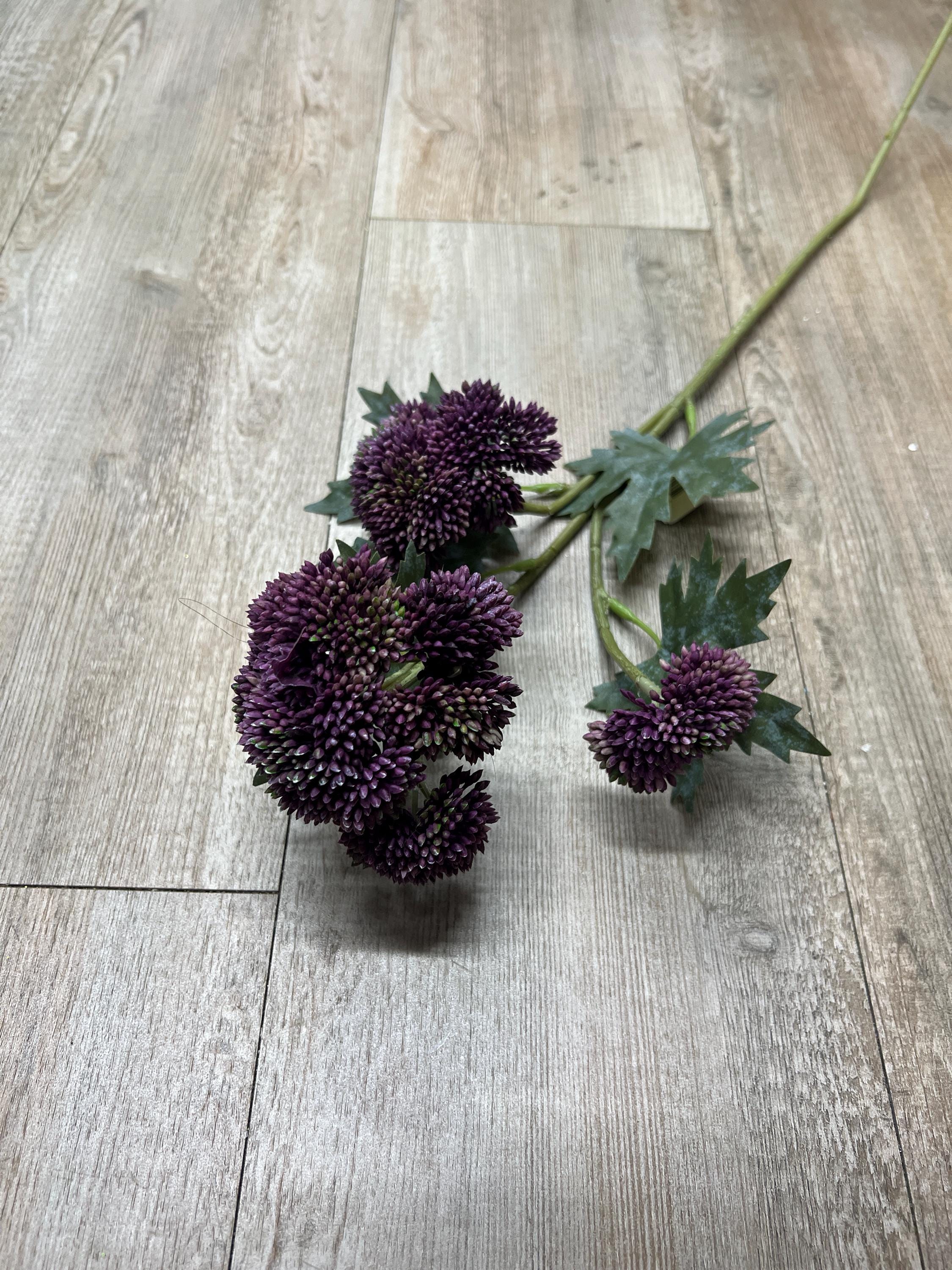 Dark Purple Sedum Stem ~ 28 Inch