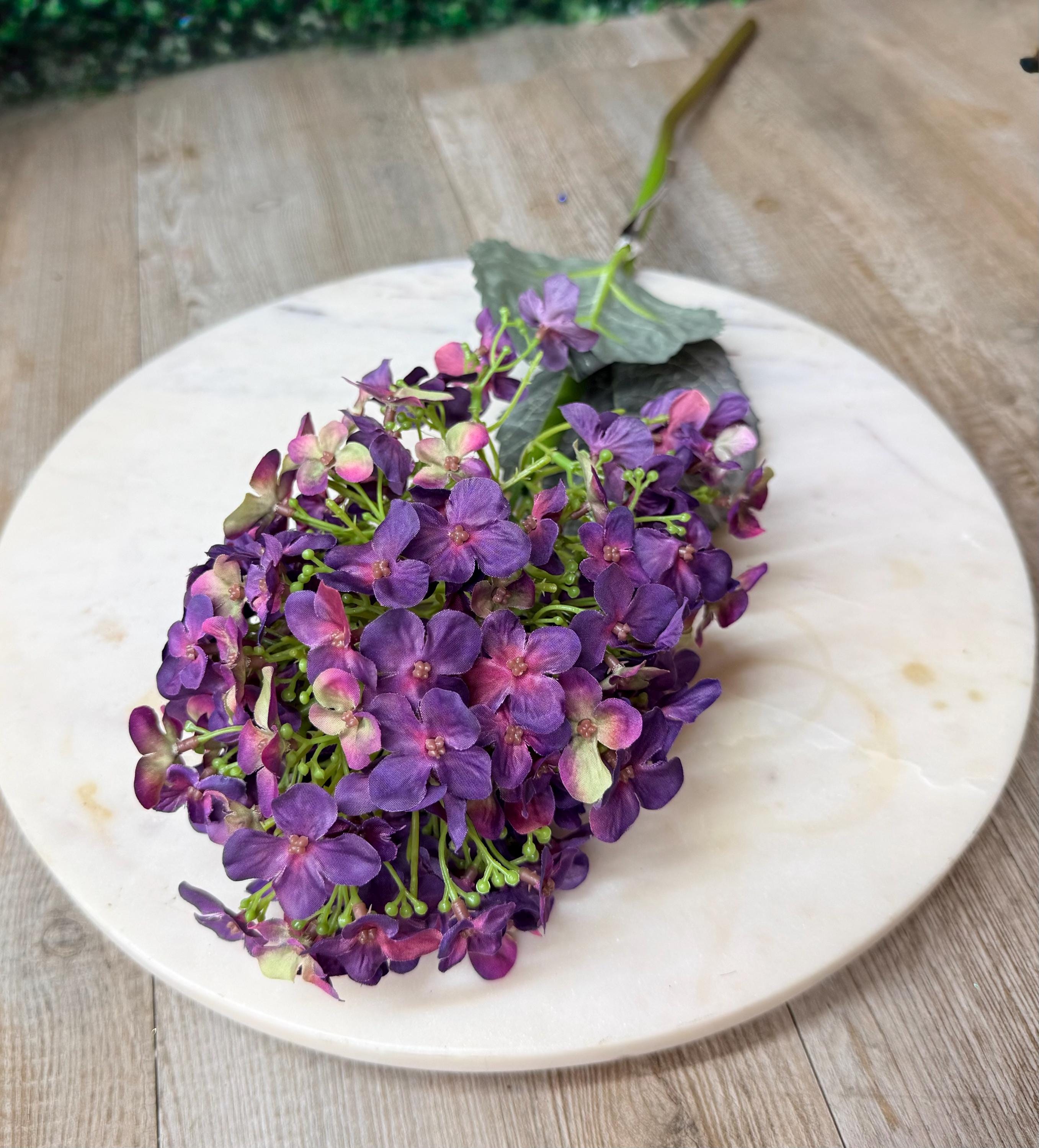 Dark Purple Cone Hydrangea - 28 Inch