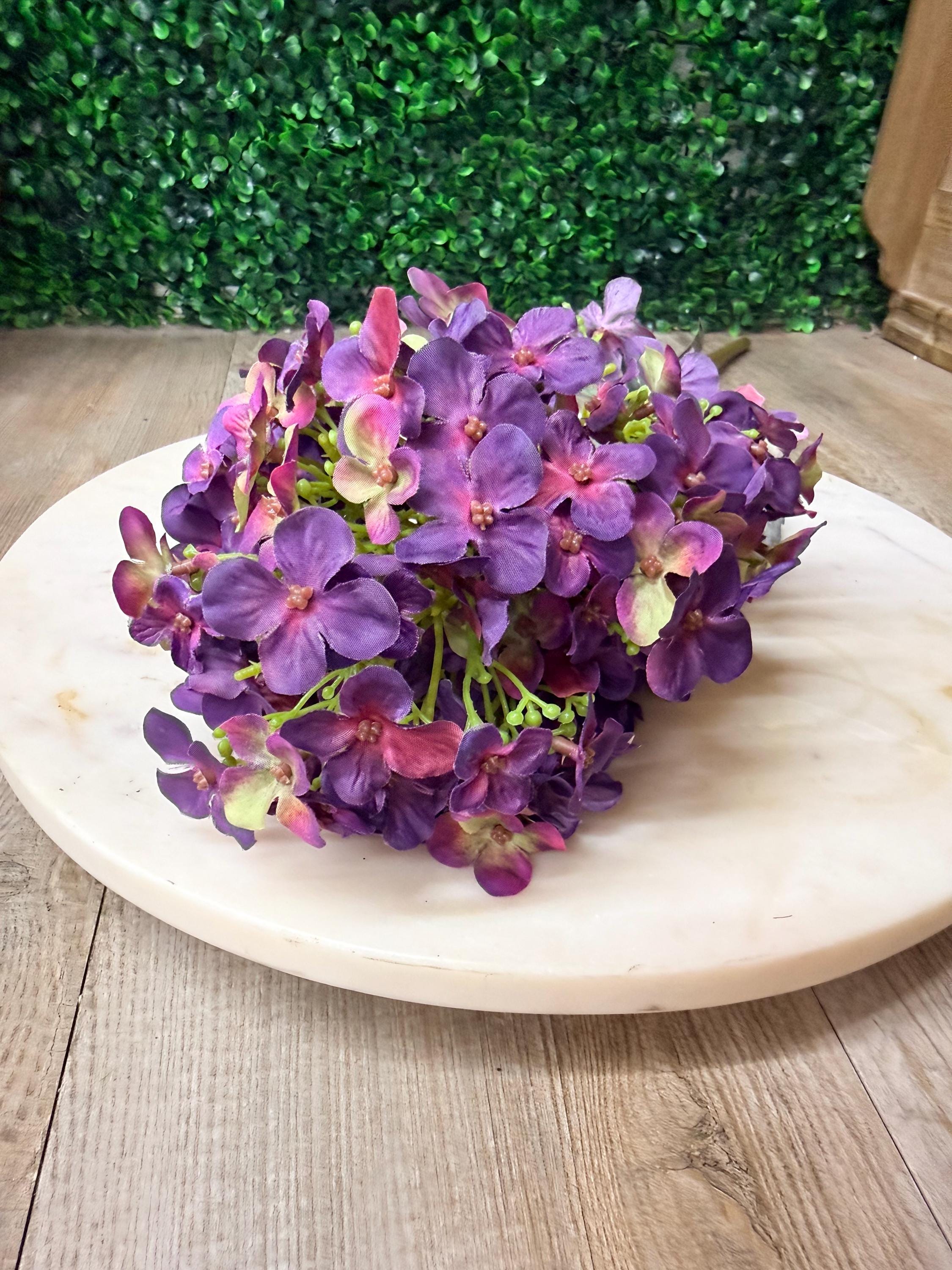 Dark Purple Cone Hydrangea - 28 Inch