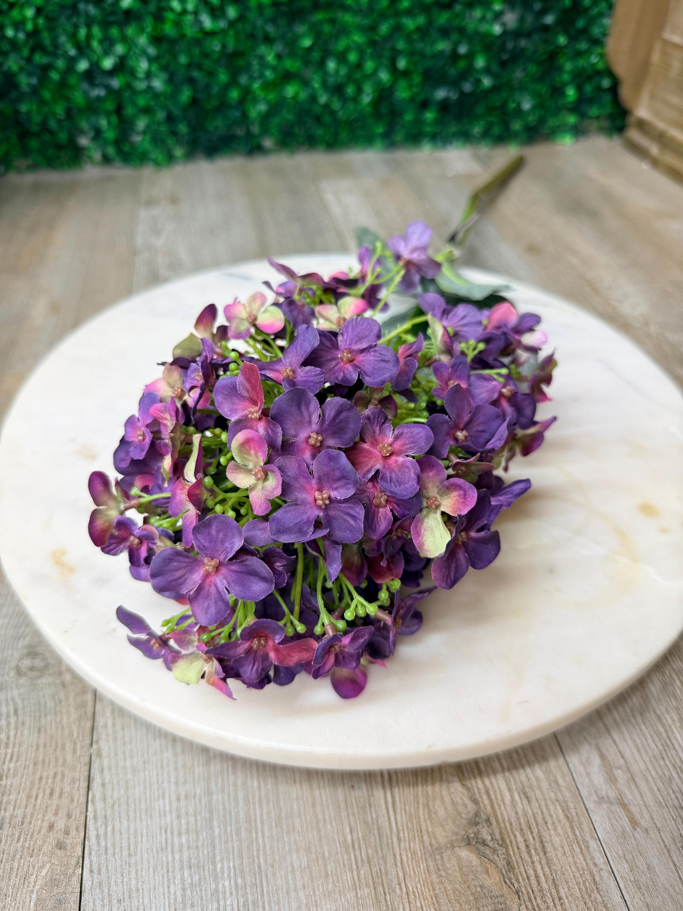 Dark Purple Cone Hydrangea - 28 Inch