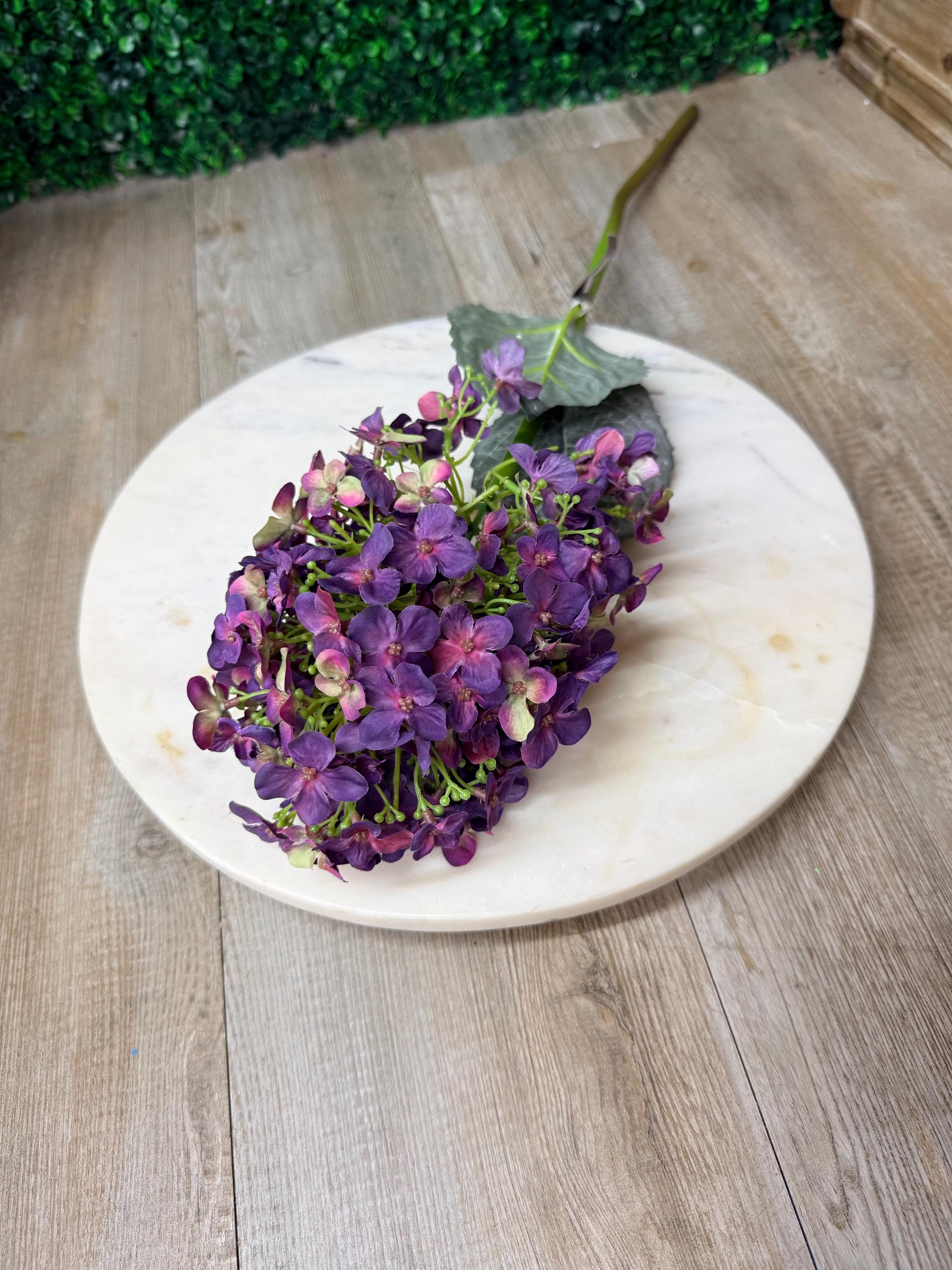 Dark Purple Cone Hydrangea - 28 Inch