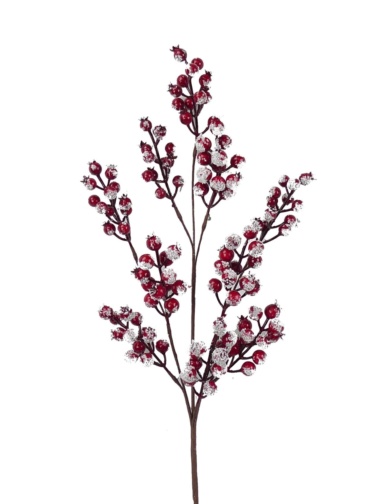Snowy Frosted Red Berry Spray - 31 inch