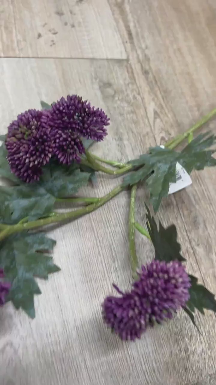 Dark Purple Sedum Stem ~ 28 Inch