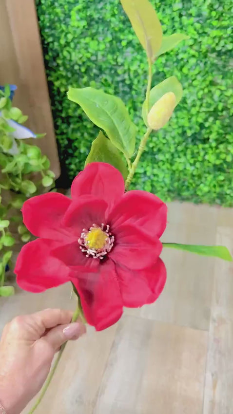 Red Magnolia & Bud Stem ~ 25 inch