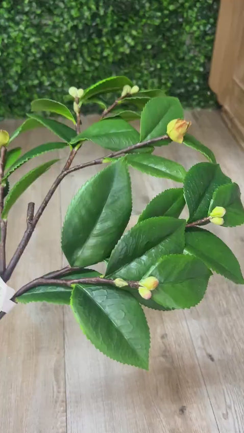 Camelia Leaf Filler Greenery Branch ~ 27 Inch