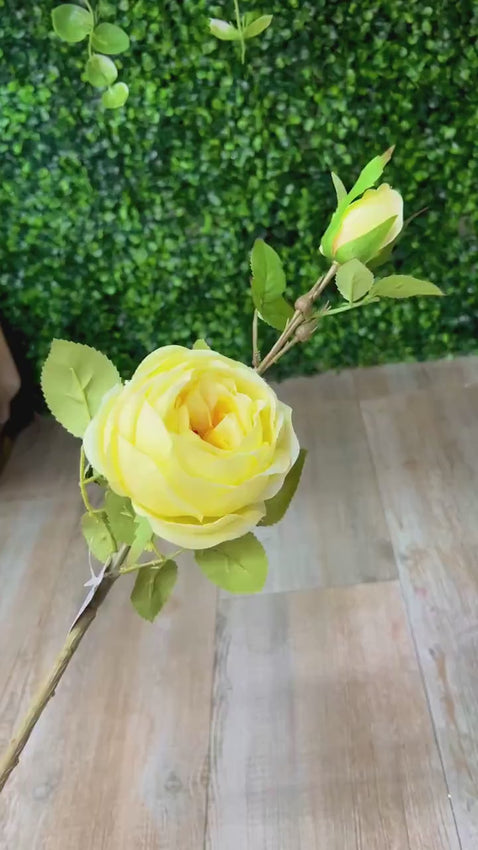Yellow Cabbage Rose w/ Bud Spray - 24 inches