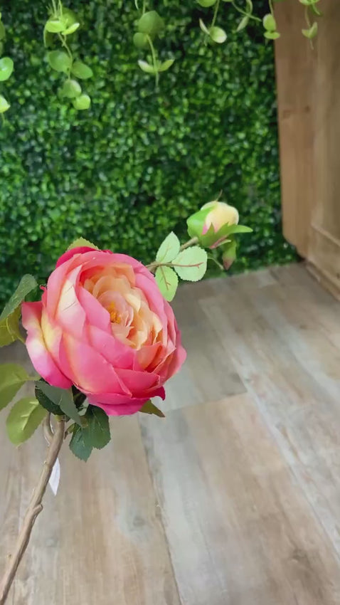 Pink & Yellow Cabbage Rose w/ Bud ~ 24 Inch