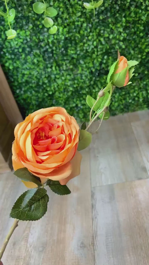 Orange Cabbage Rose w/ Bud Spray - 24 inches