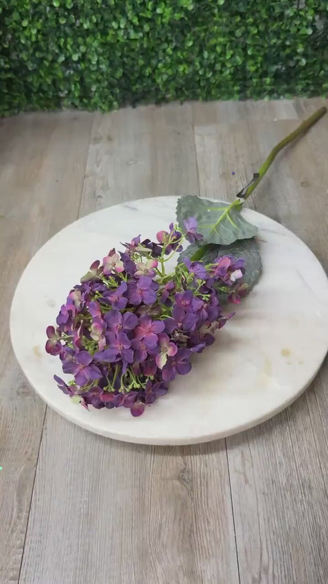 Dark Purple Cone Hydrangea - 28 Inch