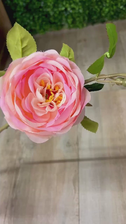 Pink Cabbage Rose w/ Bud ~ 24 Inch