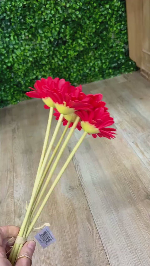 Red Gerbera Daisy Bundle ~ 5 Flowers ~ 13.5 inch