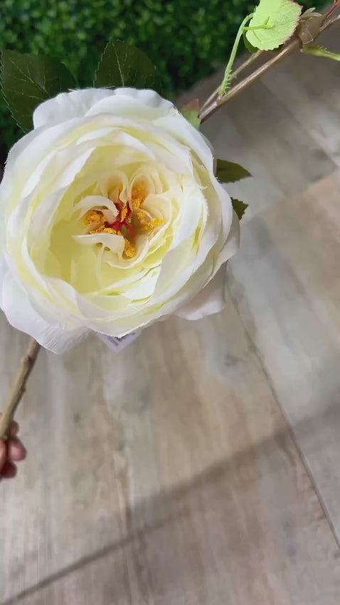White Cabbage Rose w/ Bud Spray - 24 inches