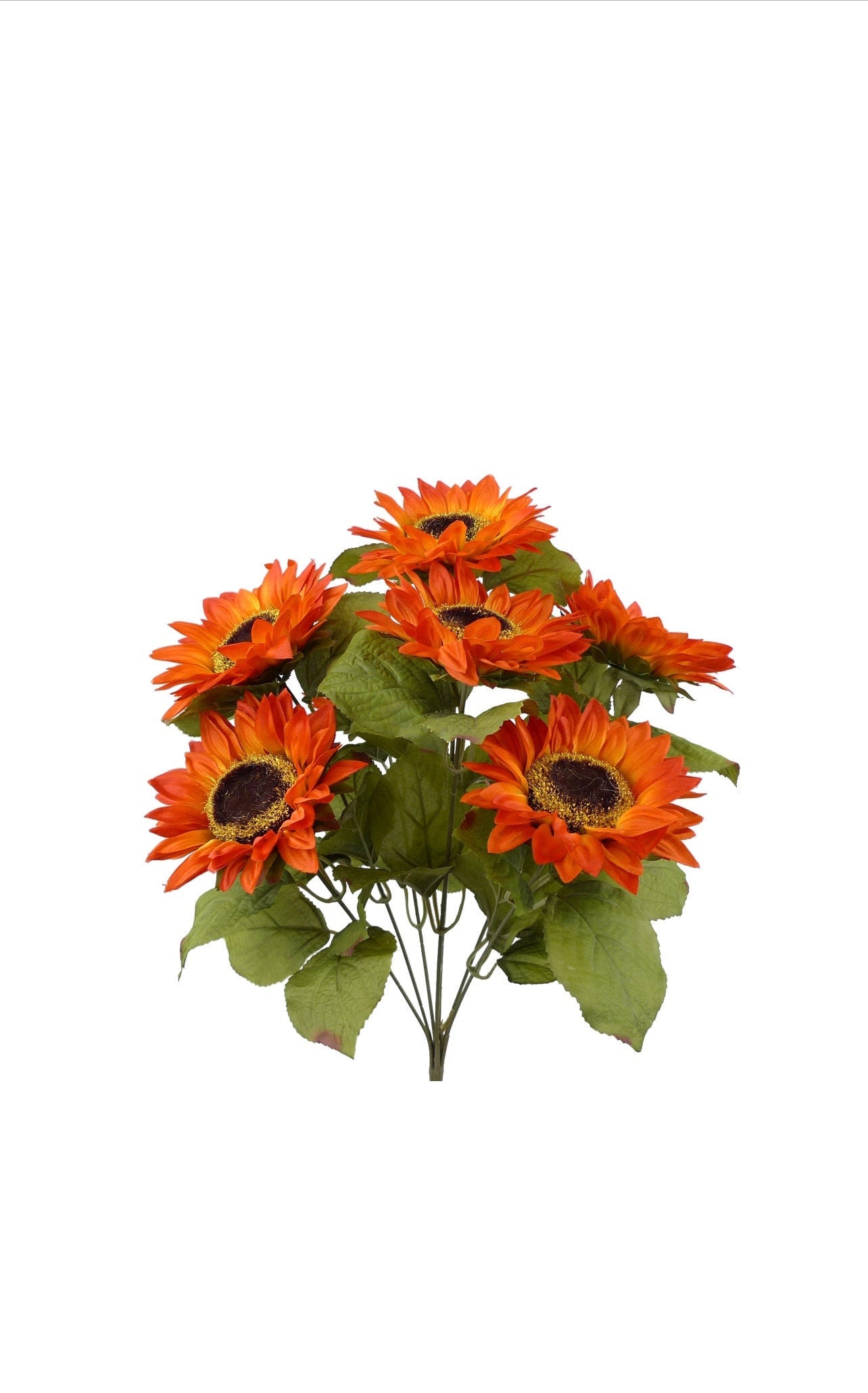 Copper Burt Orange Sunflower Bush ~ 7 flowers