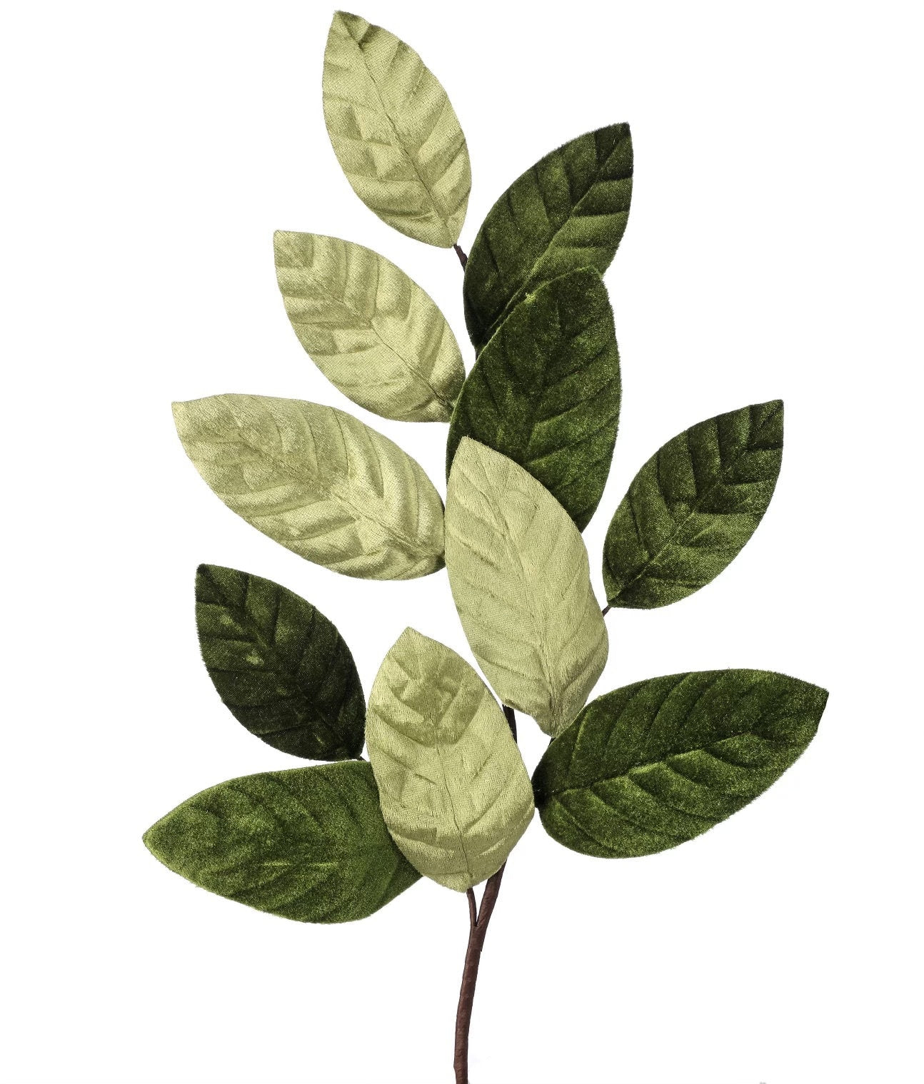 Green Velvet Magnolia Leaf Spray - 26 inches