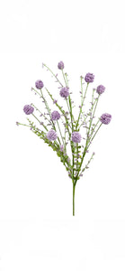 Purple Snowball Allium Bush ~ 30 Inch