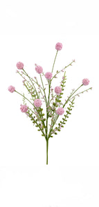Pink Snowball Allium Bush ~ 30 Inch