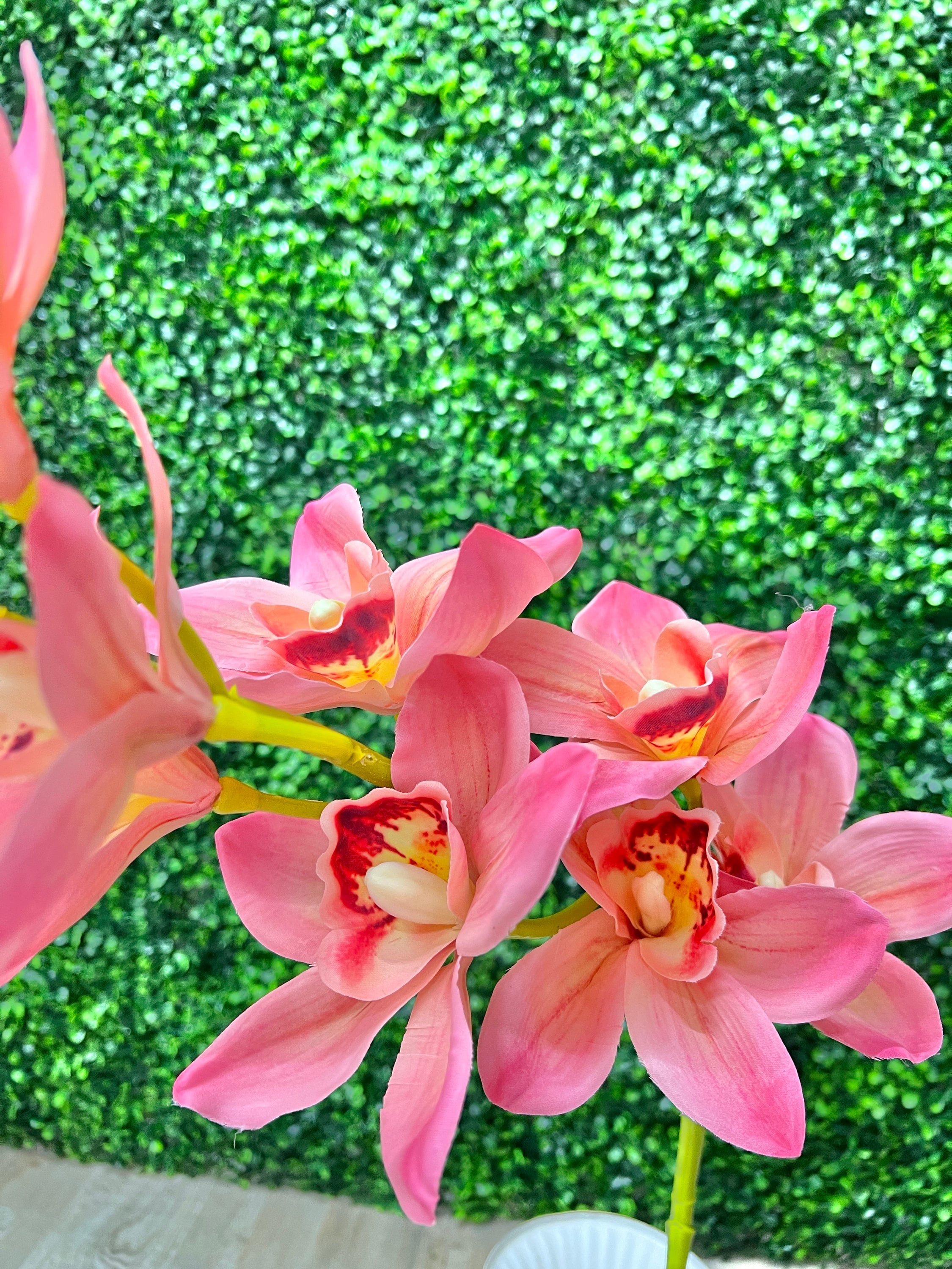 Pink Cymbidium Orchid ~ 40 Inch